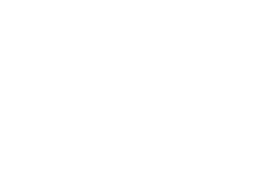 cleannami logo