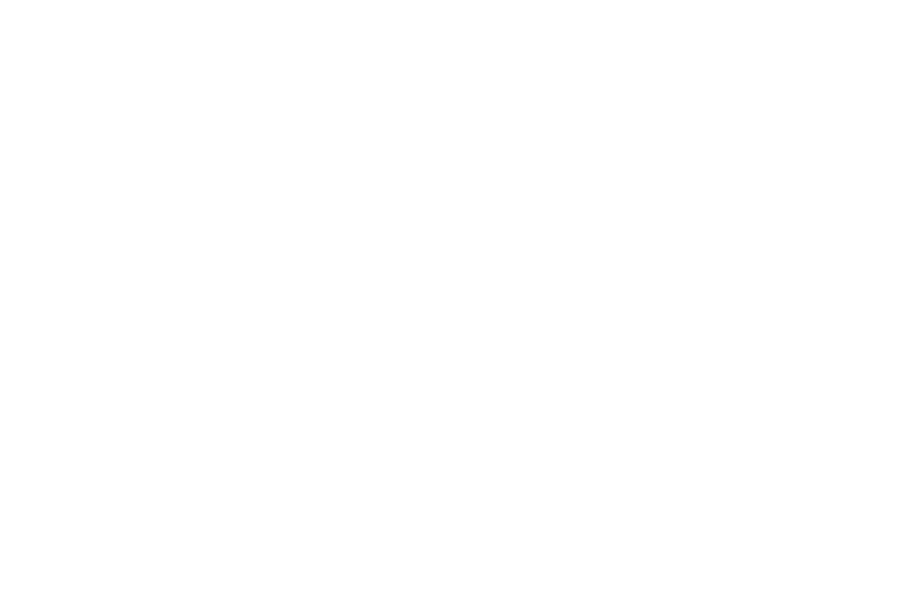 cleannami logo